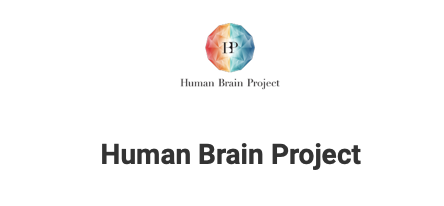 Human%20Brain.png